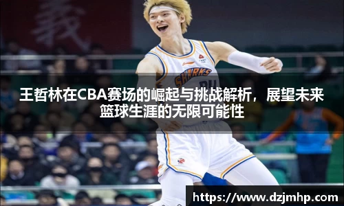 王哲林在CBA赛场的崛起与挑战解析，展望未来篮球生涯的无限可能性